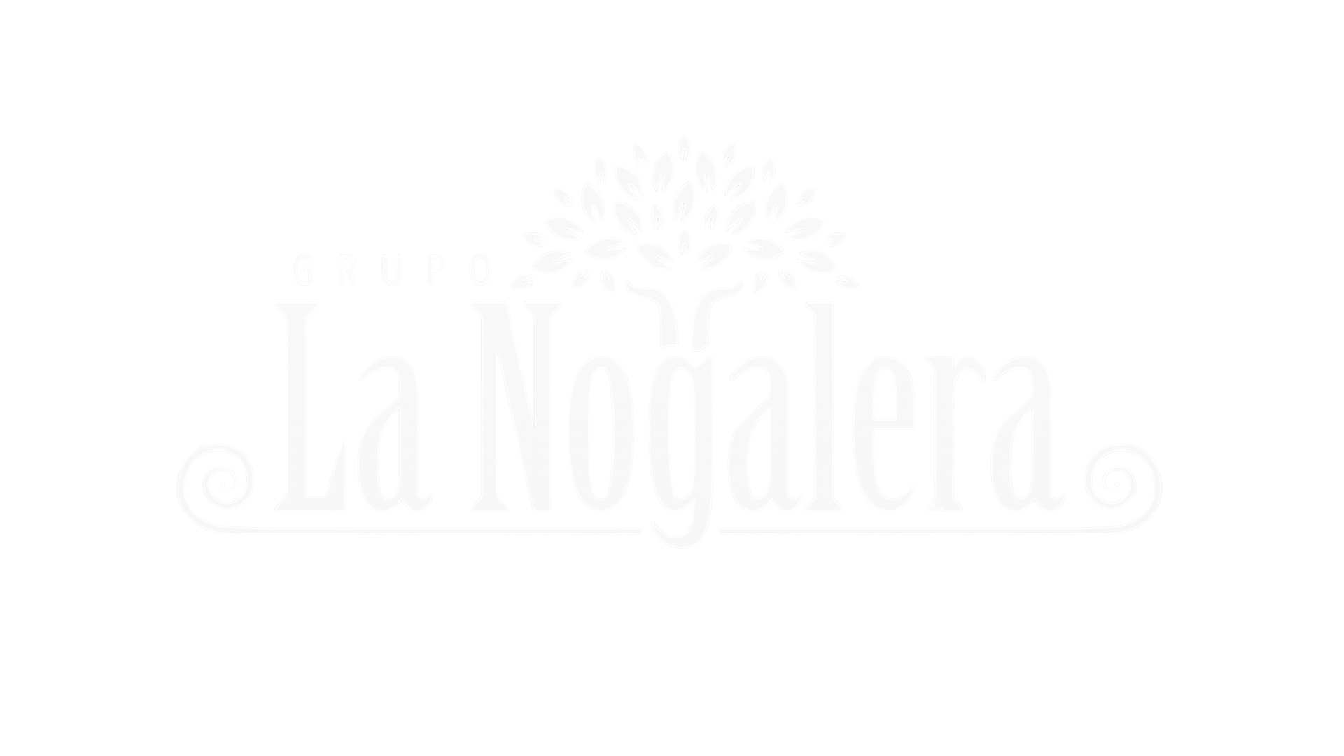 juarez rental montacargas (11)